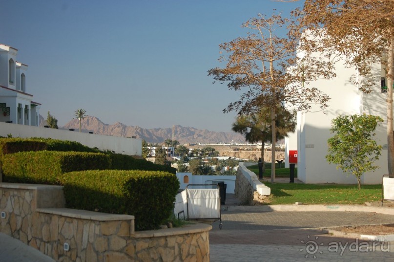 фото Flamenco Hotel Villas & Beach Club