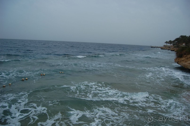 В общем пойдёт...на свой уровень