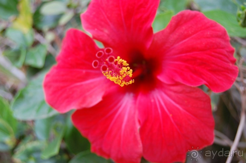 В общем пойдёт...на свой уровень