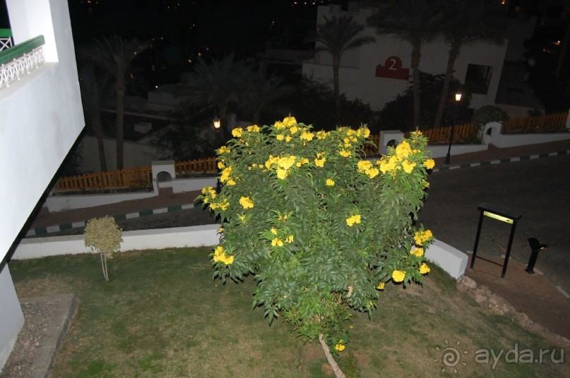 В общем пойдёт...на свой уровень