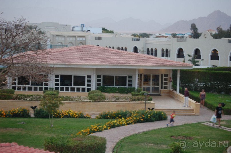 В общем пойдёт...на свой уровень