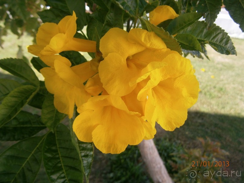 В общем пойдёт...на свой уровень