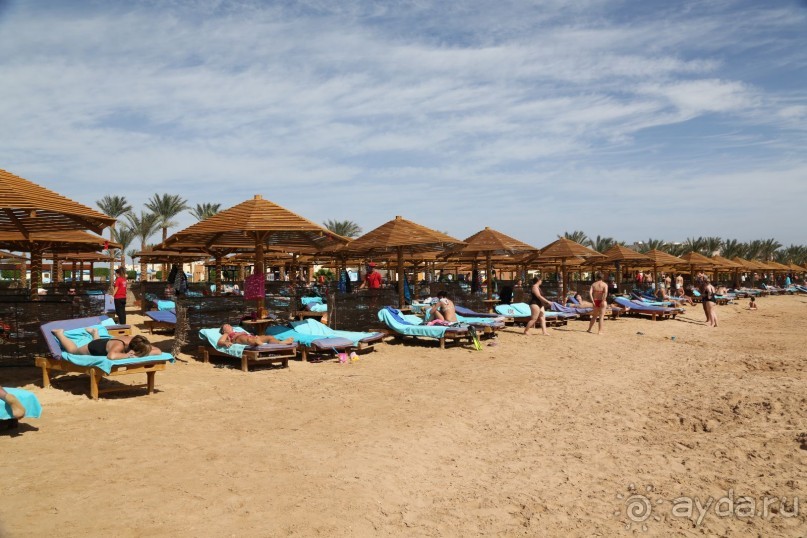 фото Sunrise Royal Makadi Resort