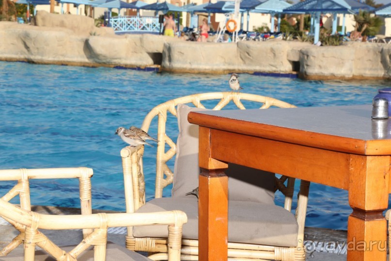 фото Sunrise Royal Makadi Resort