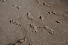 Песок Оманского залива