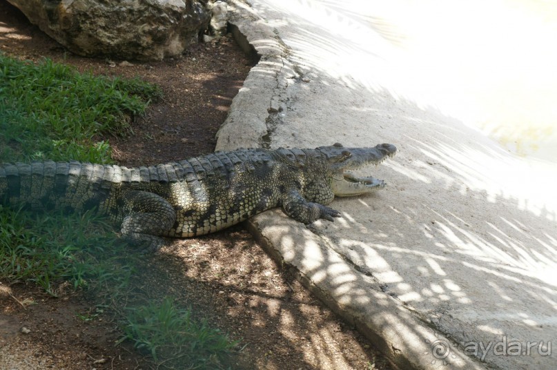 фото LTI Costa Caribe Beach