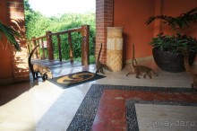 Эту страну и этот отель можно назвать сказкой