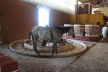 Эту страну и этот отель можно назвать сказкой