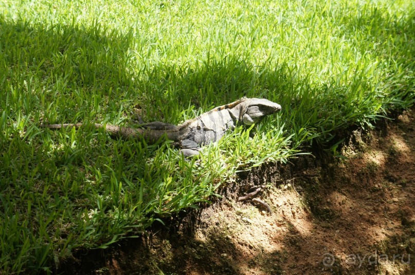 фото LTI Costa Caribe Beach