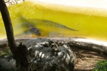 Эту страну и этот отель можно назвать сказкой