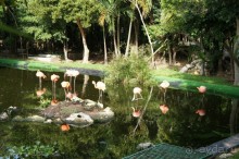 Эту страну и этот отель можно назвать сказкой