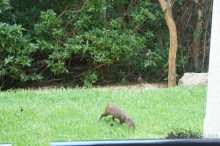 Эту страну и этот отель можно назвать сказкой