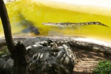 Эту страну и этот отель можно назвать сказкой