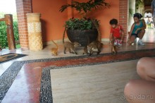 Эту страну и этот отель можно назвать сказкой