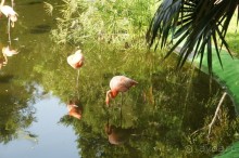 Эту страну и этот отель можно назвать сказкой