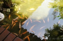 фото LTI Costa Caribe Beach