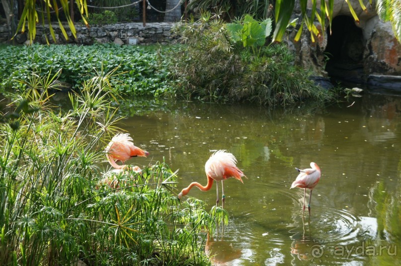 Эту страну и этот отель можно назвать сказкой