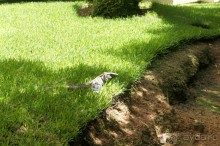 фото LTI Costa Caribe Beach