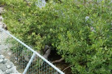 Эту страну и этот отель можно назвать сказкой