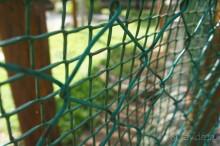 фото LTI Costa Caribe Beach