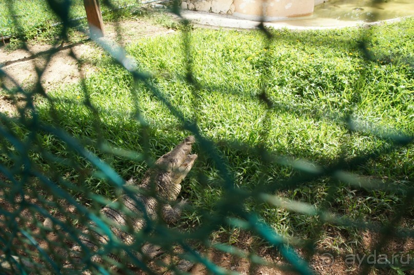 фото LTI Costa Caribe Beach