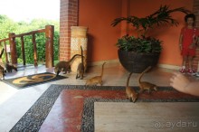 Эту страну и этот отель можно назвать сказкой