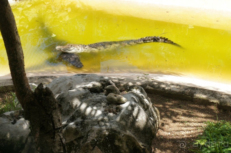 Эту страну и этот отель можно назвать сказкой