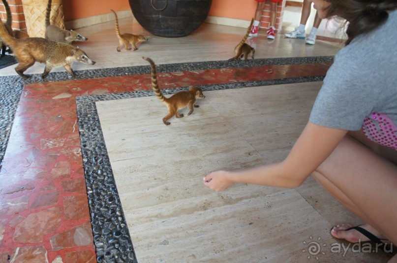 Эту страну и этот отель можно назвать сказкой