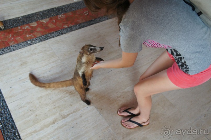 Эту страну и этот отель можно назвать сказкой