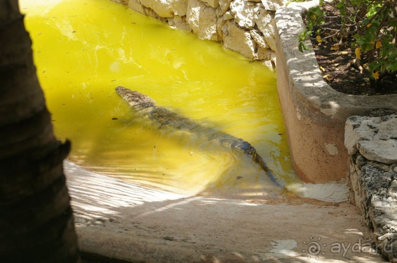 фото LTI Costa Caribe Beach