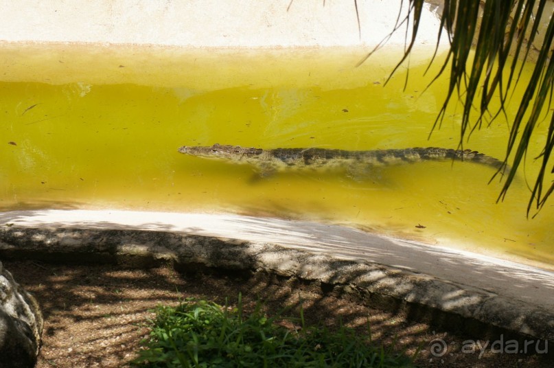 Эту страну и этот отель можно назвать сказкой