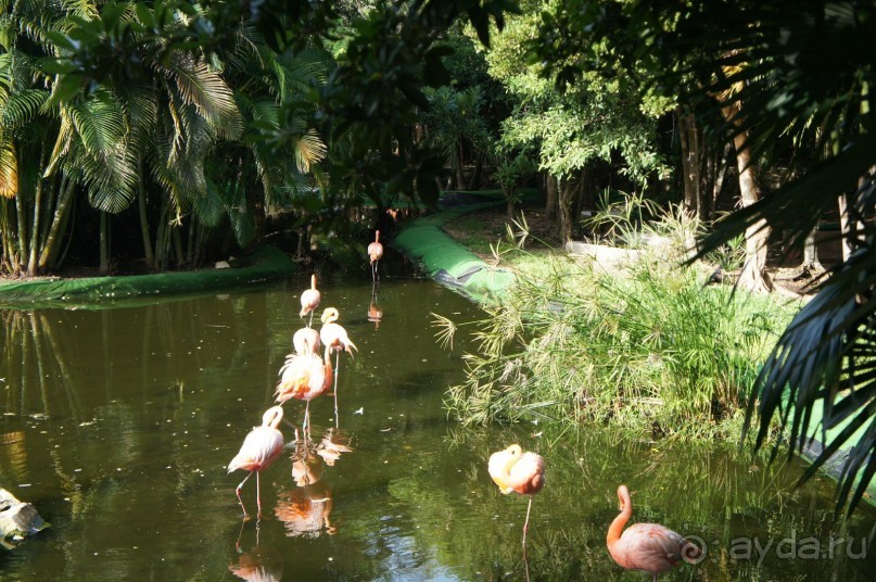 фото LTI Costa Caribe Beach