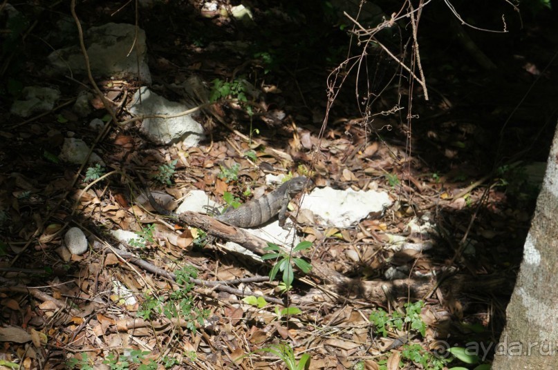 фото LTI Costa Caribe Beach