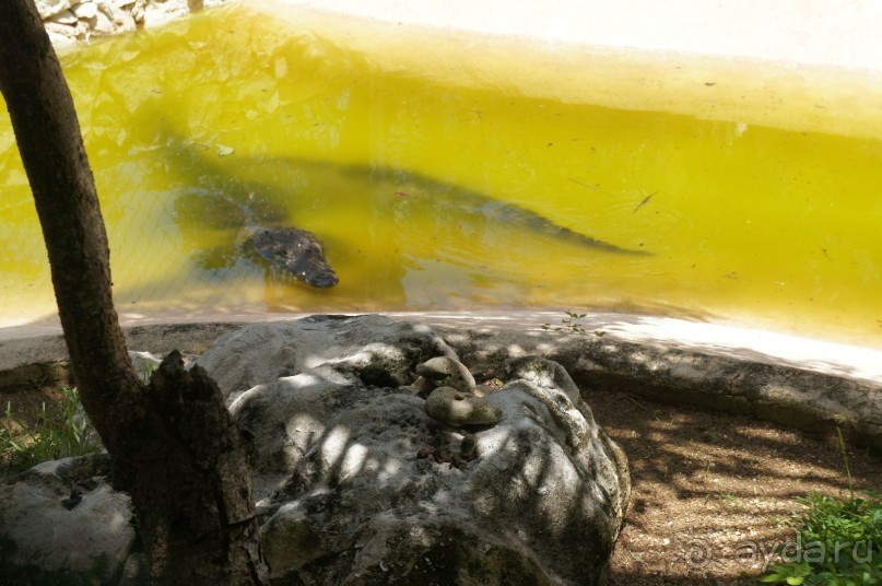 фото LTI Costa Caribe Beach