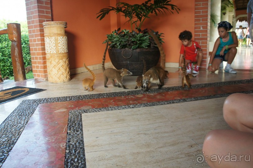 фото LTI Costa Caribe Beach