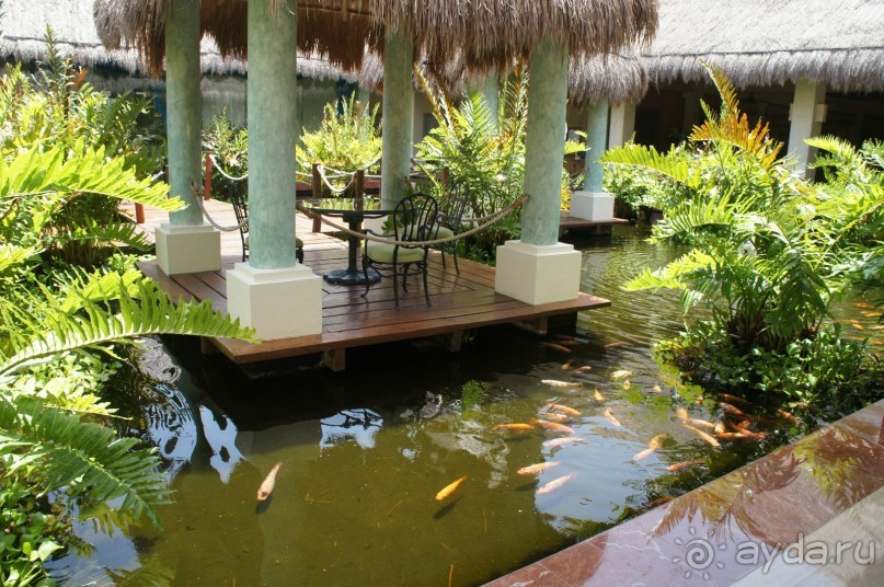 фото LTI Costa Caribe Beach