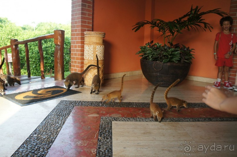 фото LTI Costa Caribe Beach