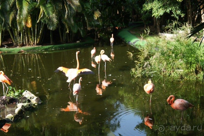 фото LTI Costa Caribe Beach