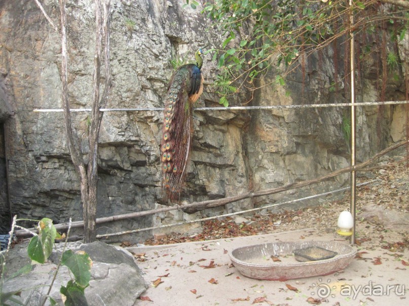 Изумительный отдых,  красивейшая природа, великолепный сервис