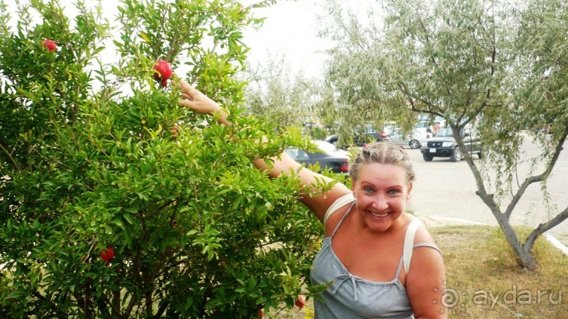 Мысли вслух о прекраснейшем Баку и немного негатива.