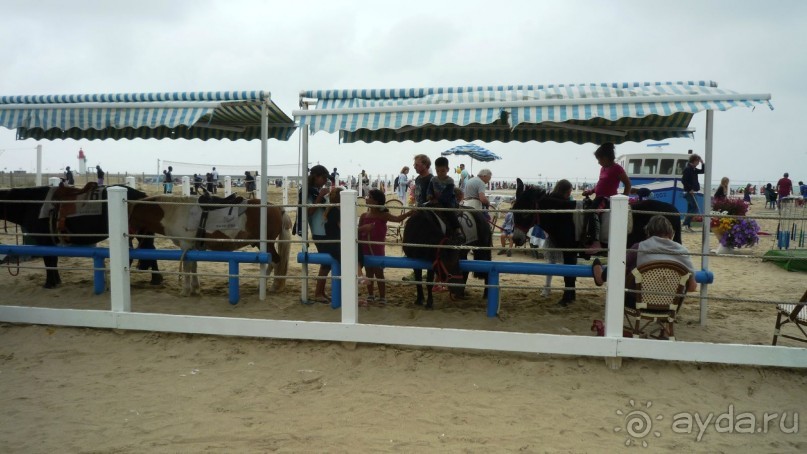 Нормандия; Трувиль; Сезонная аренда у Веры на берегу моря ( 2 ч.от Парижа)