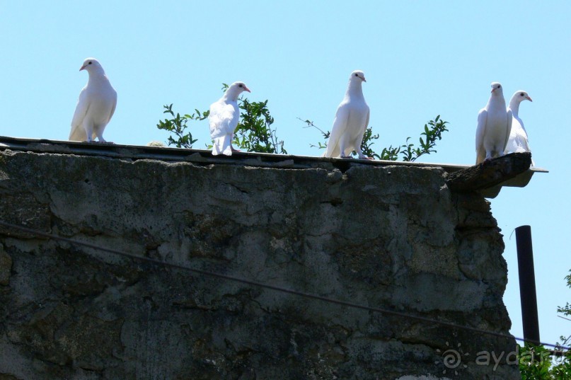 Храм огнепоклонников Атешгях. Суруханы. (30 км.от Баку)