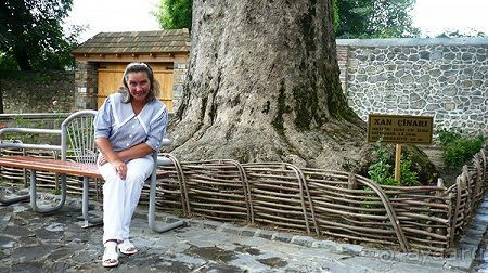 Путешествие в Шеки, первые впечатления об Азербайджане.