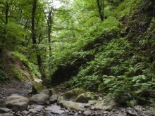 Один День в Лерик - Релаксе (35 км. от Ленкорань). Наши впечатления