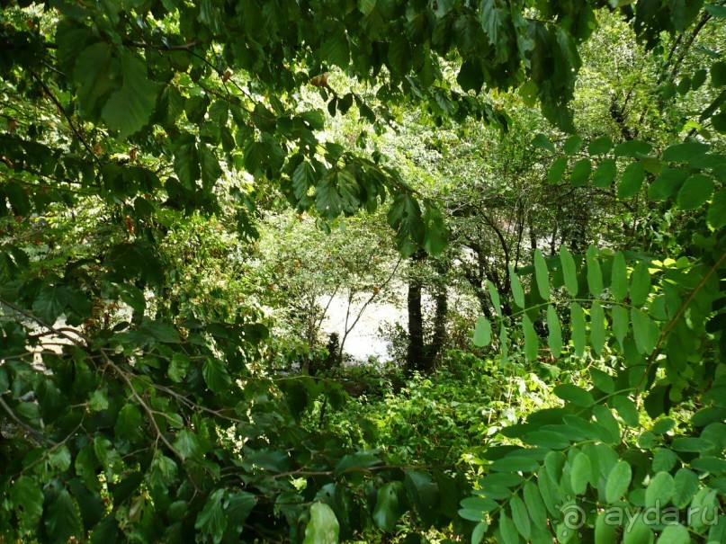 Один День в Лерик - Релаксе (35 км. от Ленкорань). Наши впечатления