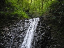 Один День в Лерик - Релаксе (35 км. от Ленкорань). Наши впечатления