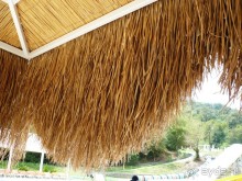 Один День в Лерик - Релаксе (35 км. от Ленкорань). Наши впечатления