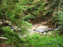 Один День в Лерик - Релаксе (35 км. от Ленкорань). Наши впечатления