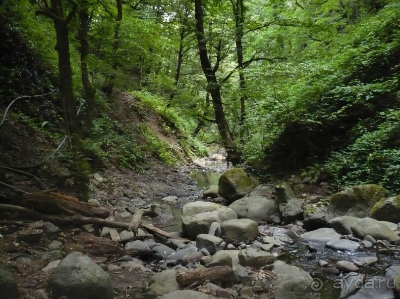 Один День в Лерик - Релаксе (35 км. от Ленкорань). Наши впечатления