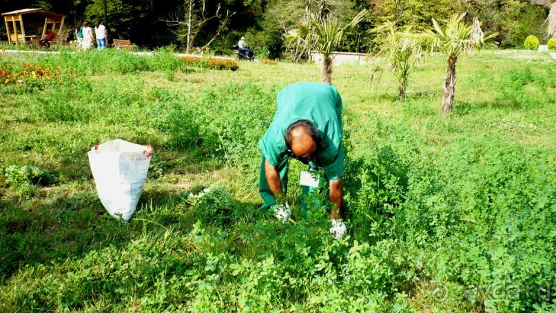 Один День в Лерик - Релаксе (35 км. от Ленкорань). Наши впечатления